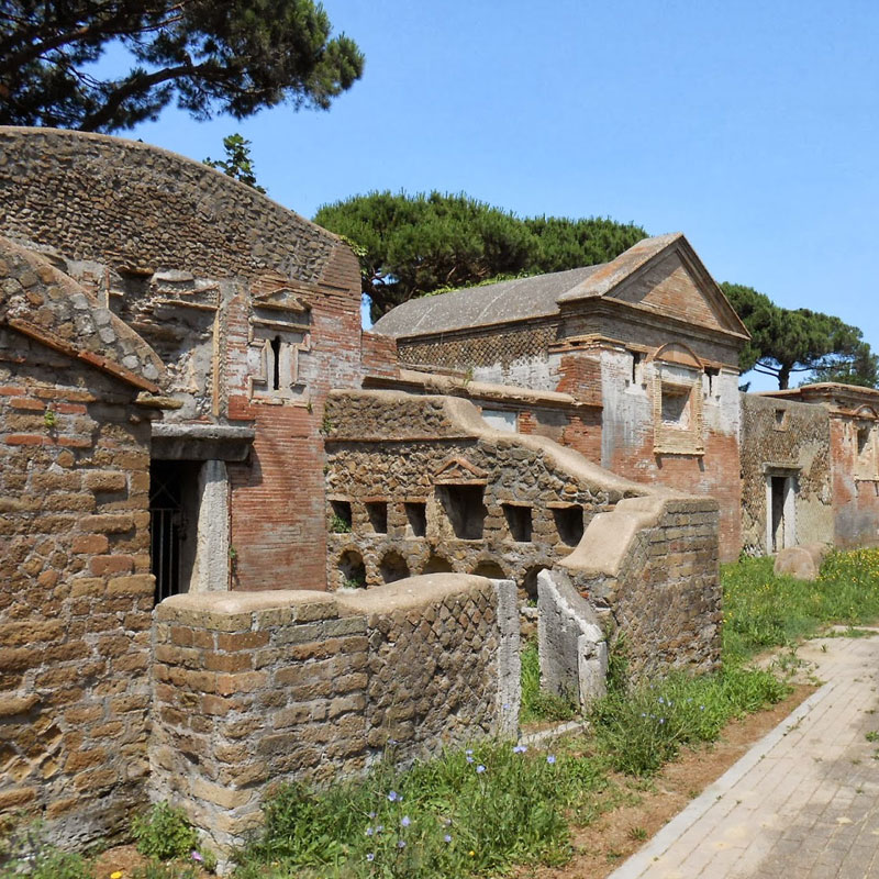 Guide Roma Etruria Uccelli al lago di Bracciano