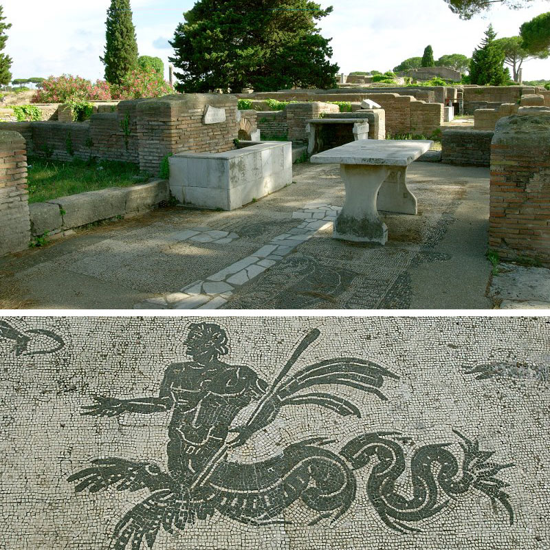 Guide Roma Etruria Uccelli al lago di Bracciano